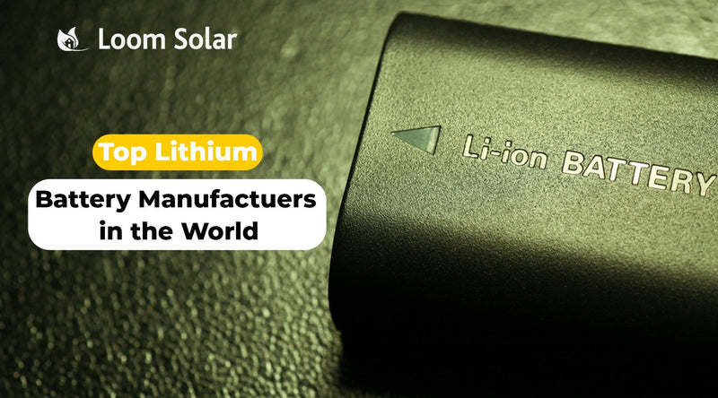 Top Lithium Battery Manufacturers in World, 2024