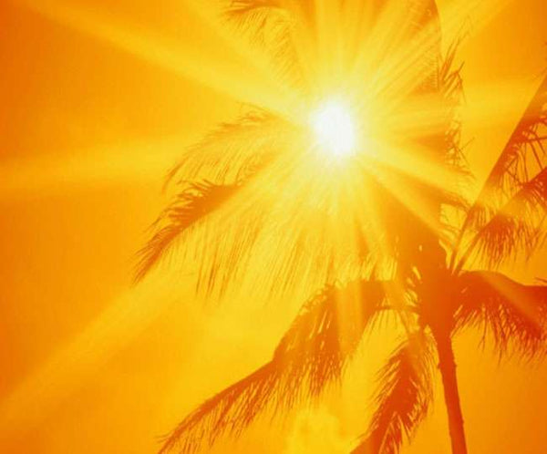 सूर्यदेव अब रात को भी करेंगे उजाला