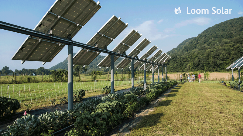 Is Farming and Solar Panels Good Together?