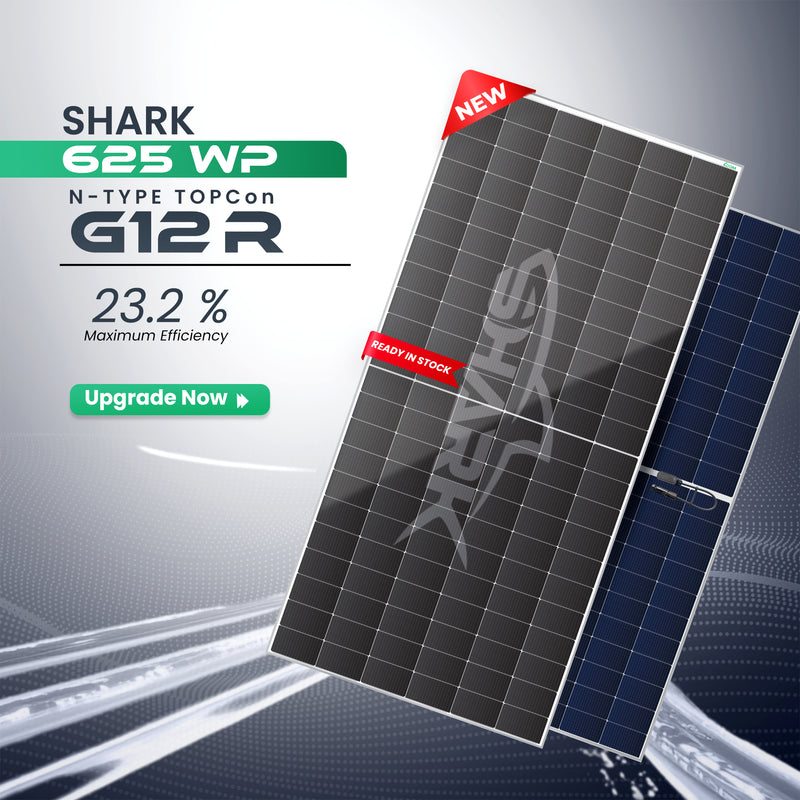 Loom Solar SHARK 625 Wp N-Type TOPCon G12R Dual Glass Bifacial Solar Panel(Pack of 36)