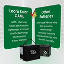 CAML 12.8 V 100 Ah, 1.28 kWh LiFePO4 - Lithium Battery