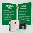 CAML 2.56 kWh (100Ah, 25.6V) LiFePO4 Wall-Mount - Lithium Battery