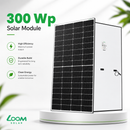 Loom Solar Panel 300 Wp - 12 V Module for Inverter Battery (80Ah-150Ah) Charging, Home Solar System (Pack of 2)