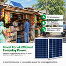 Loom Solar 20 Wp, 12 V PV Module for Small Battery Charging & DIY Projects